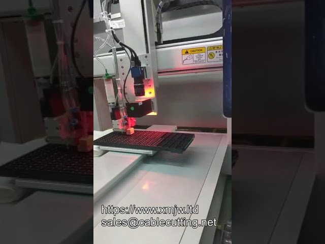 OEM Customized 3-Axis Vision Glue Dispenser Robotic Computer Control Programming Visual Dispensing System