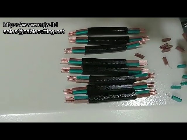 Cable Wire Strip Machine